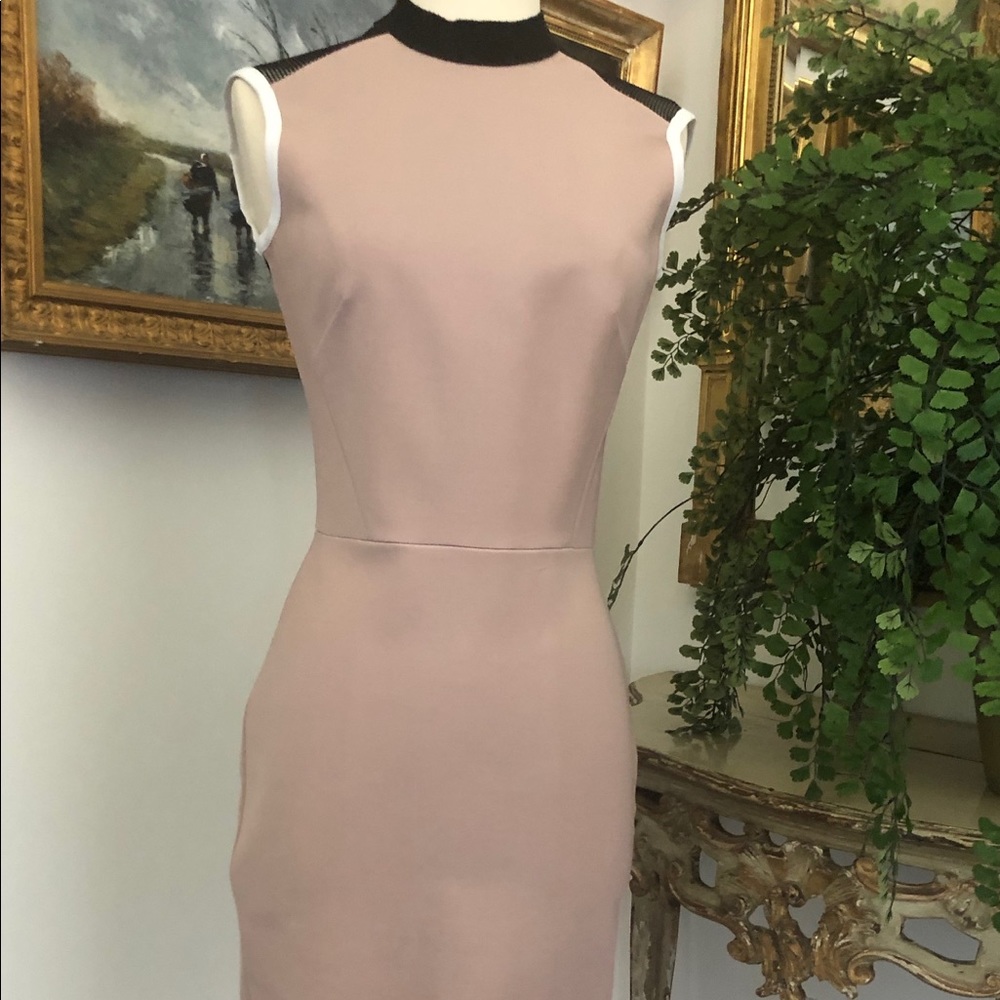 Victoria Beckham High Neck Fitted Dress